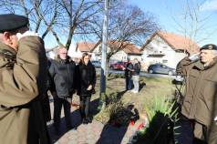 Mini IMG 4668